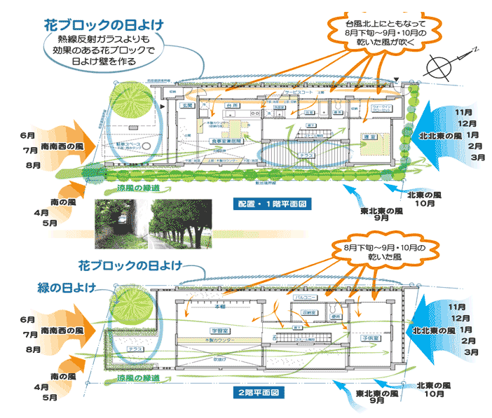 市街地型エコハウス平面図（1階・2階）