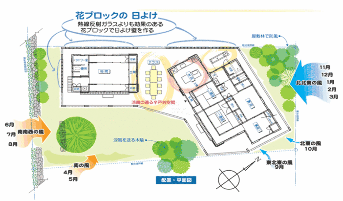 平面図