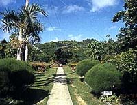 宮古島市熱帯植物園