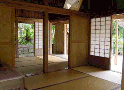 涼風を呼び込む住宅