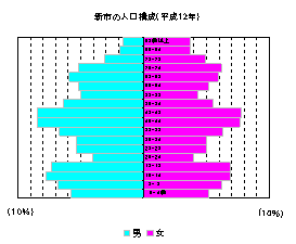 新市の人口構成グラフ