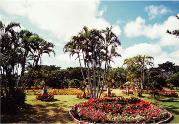 宮古島市熱帯植物園