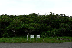 大嶽公園の植物群落