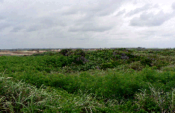 保良元島遺跡