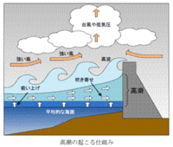 高潮の起こる仕組み