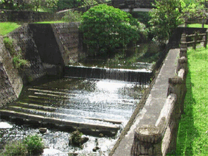 いつもは水が少なく浅い川（沖縄県内）