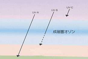 紫外線とは